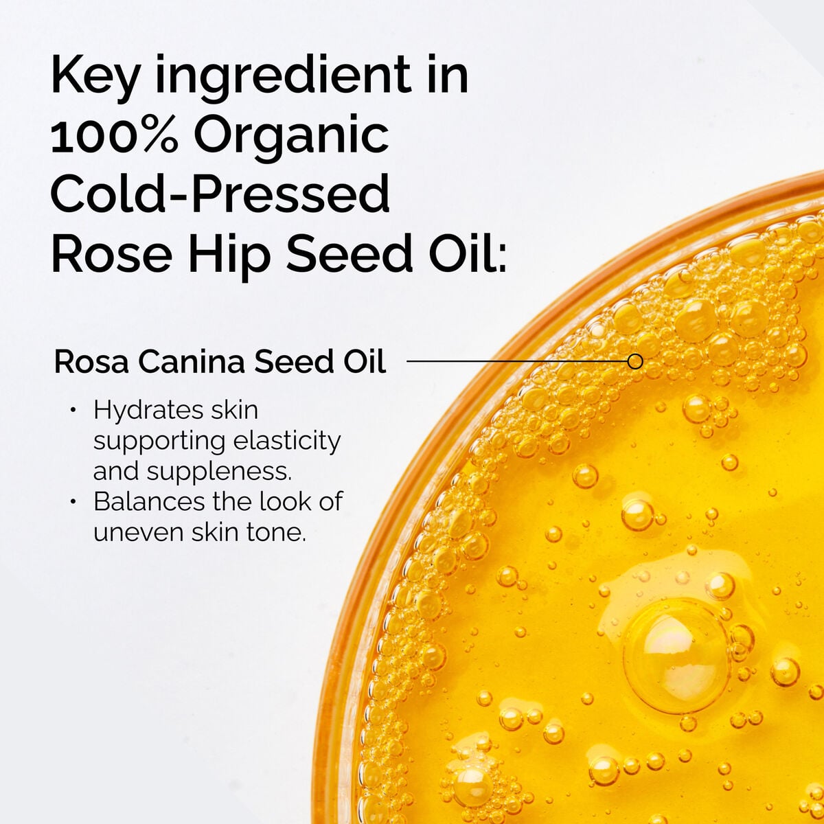 100-organic-cold-pressed-rose-hip-seed-oil-s5 FY25-D41247-ORD-Web-PDP-100-Rose-Hip-Oil-1x1-EN-2.jpg