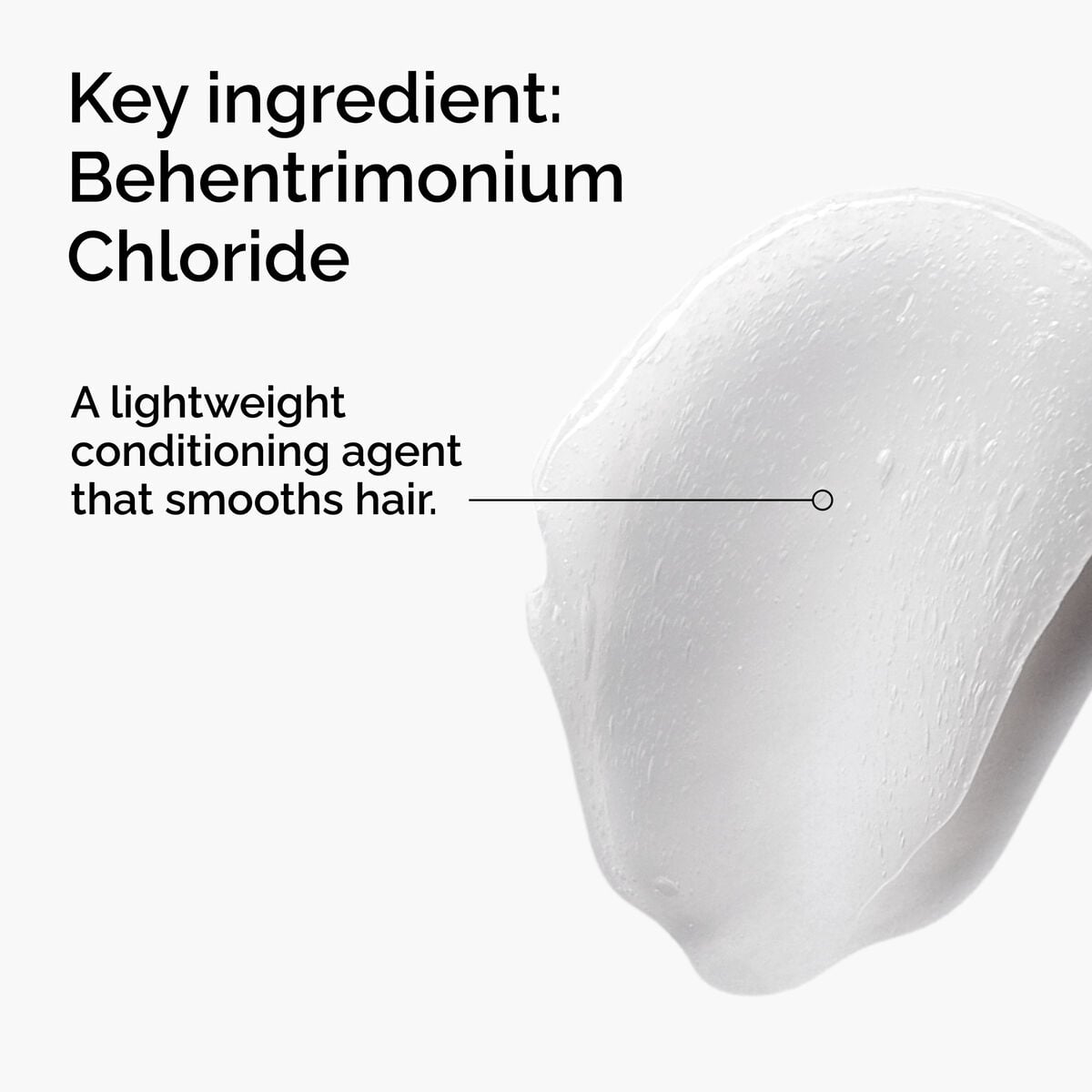 behentrimonium-chloride-2-conditioner-b7 FY25-D41247-ORD-Web-PDP-BTC-1x1-EN-2a.jpg